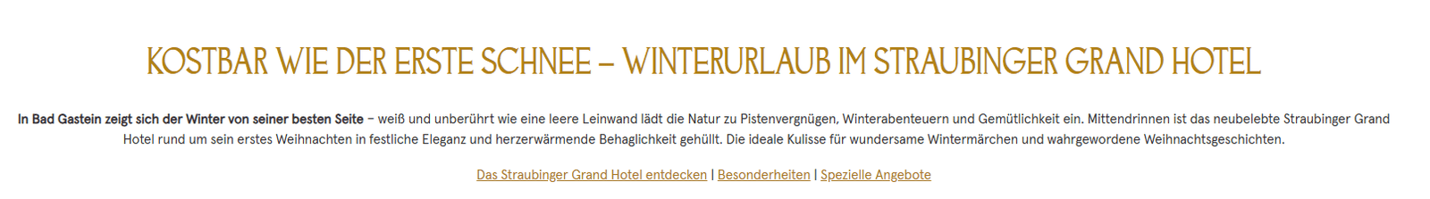 straubingergalarieText